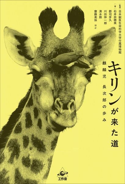 キリンが来た道 麒麟児 長次郎の歩み