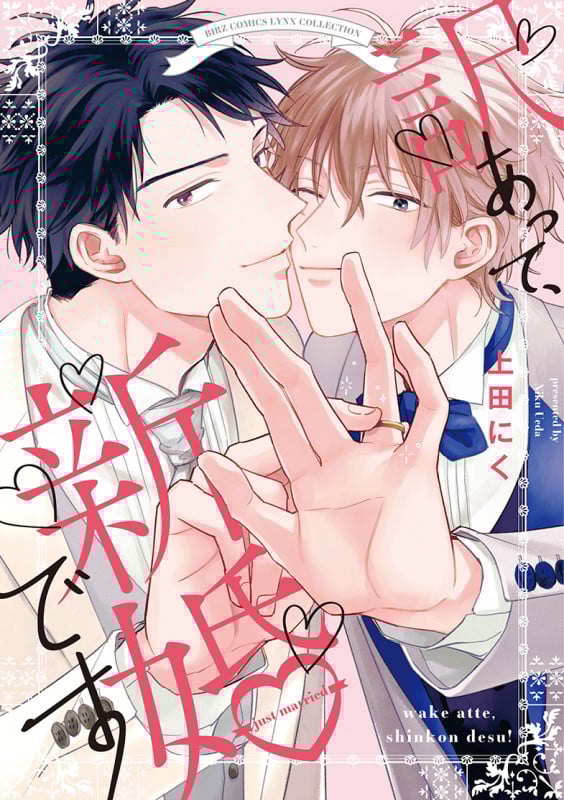 訳あって、新婚です (バーズコミックス リンクスコレクション)