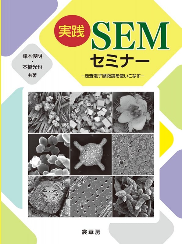 The Center of the Body 体幹機能の謎を探る 第4版 Amazon.co.jp: The Center of the Body―体幹機能の謎を探る