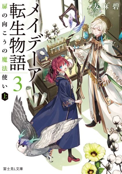 メイデーア転生物語 3 扉の向こうの魔法使い(上) (富士見L文庫)