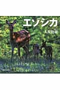 エゾシカ 北国の野生動物