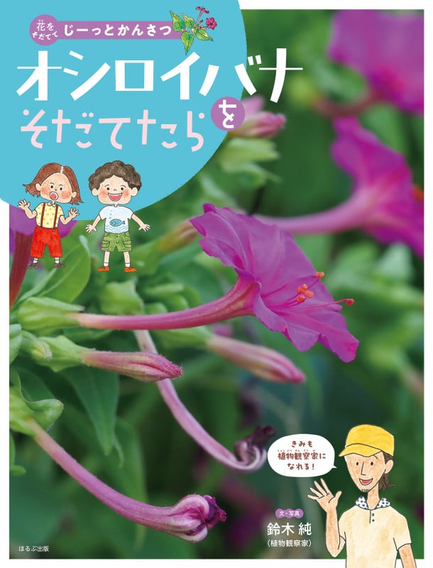 オシロイバナをそだてたら (花をそだててじーっとかんさつ)
