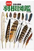 決定版 日本の野鳥 羽根図鑑