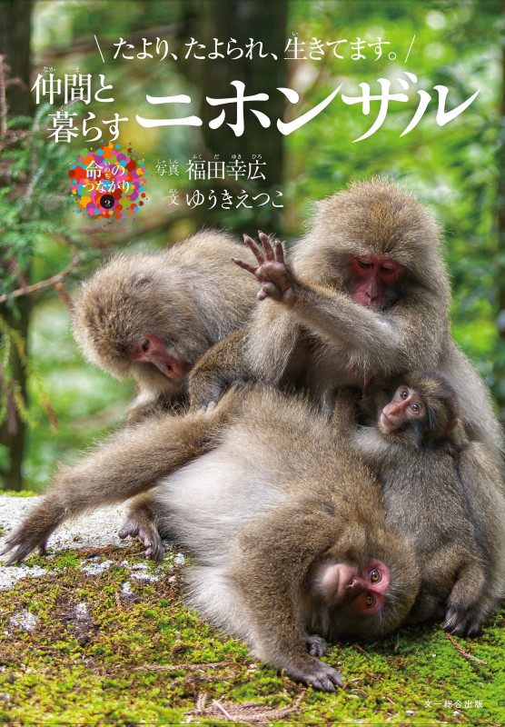 仲間と暮らすニホンザル たより、たよられ、生きてます。 (命のつながり 2)