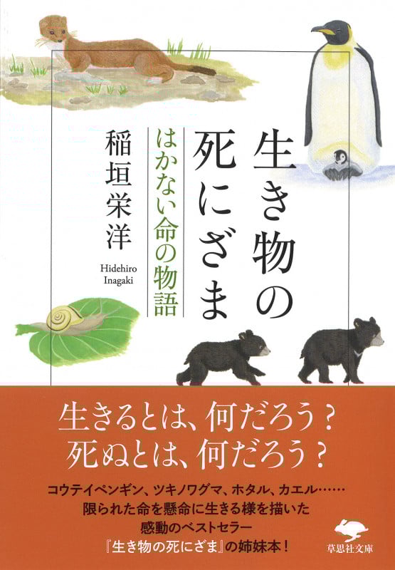 文庫 生き物の死にざま はかない命の物語 (草思社文庫)