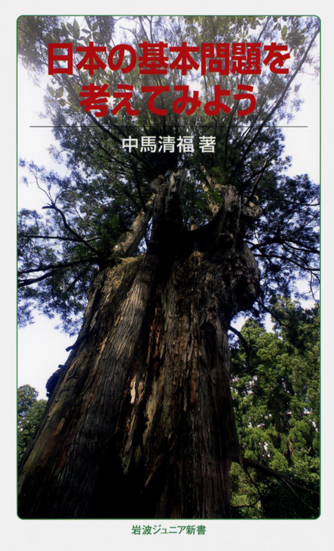 日本の基本問題を考えてみよう (岩波ジュニア新書 624)の詳細を見る