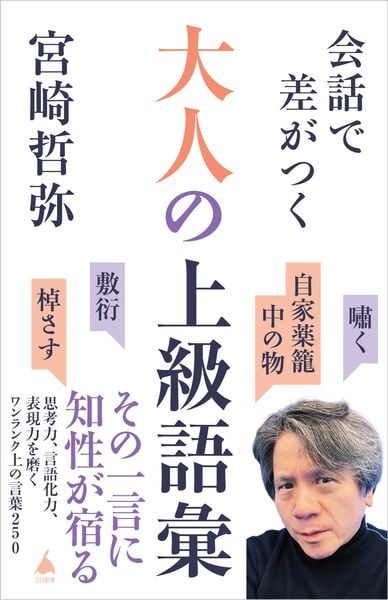 会話で差がつく大人の上級語彙 思考力、言語化力、表現力を磨くワンランク上の言葉250 (SB新書)