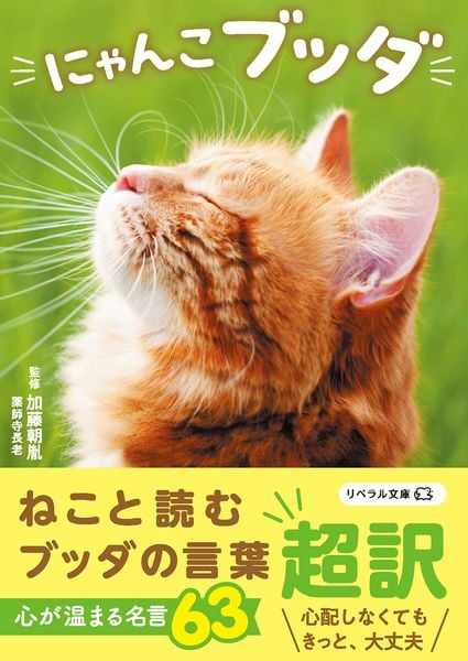 にゃんこブッダ (リベラル文庫)