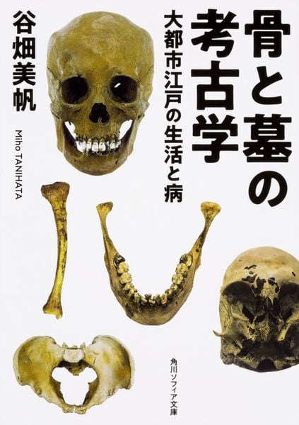 骨と墓の考古学 大都市江戸の生活と病 (角川ソフィア文庫)の詳細を見る