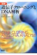 図解 遺伝子クローニングとDNA解析
