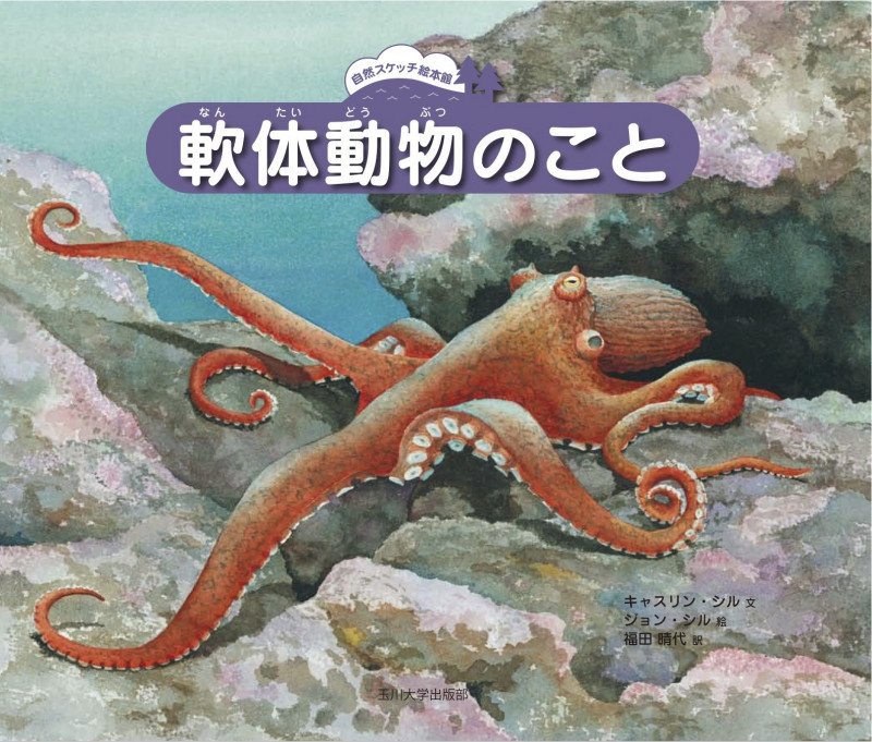 軟体動物のこと (自然スケッチ絵本館)