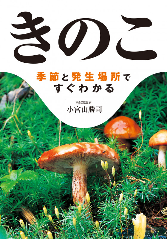 きのこ 季節と発生場所ですぐわかる
