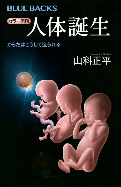 カラー図解 人体誕生 からだはこうして造られる (ブルーバックス)