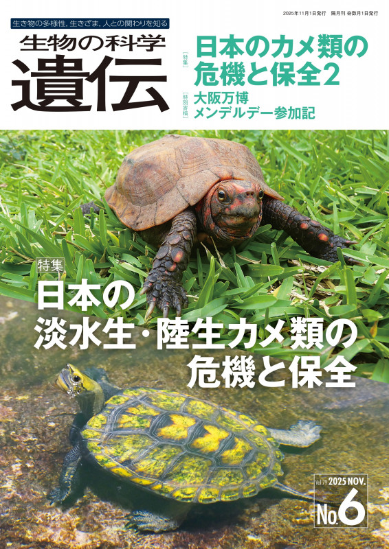 生物の科学 遺伝 2025年11月発行号(Vol.79‐No.6) 日本の淡水生・陸生カメ類の危機と保全