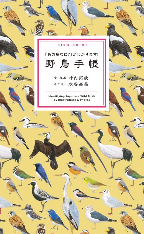 野鳥手帳 「あの鳥なに?」がわかります!