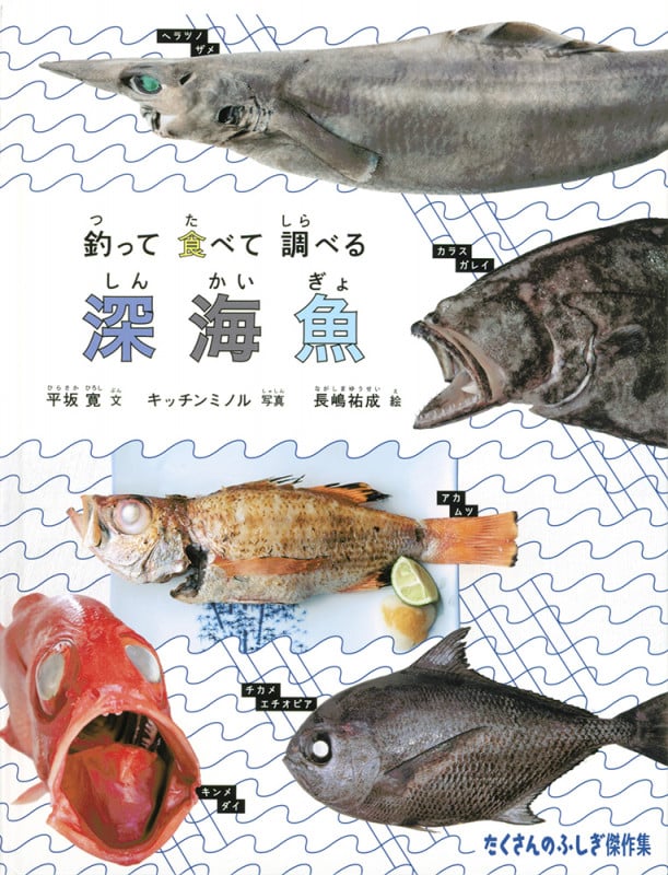 釣って食べて調べる 深海魚 (たくさんのふしぎ傑作集)