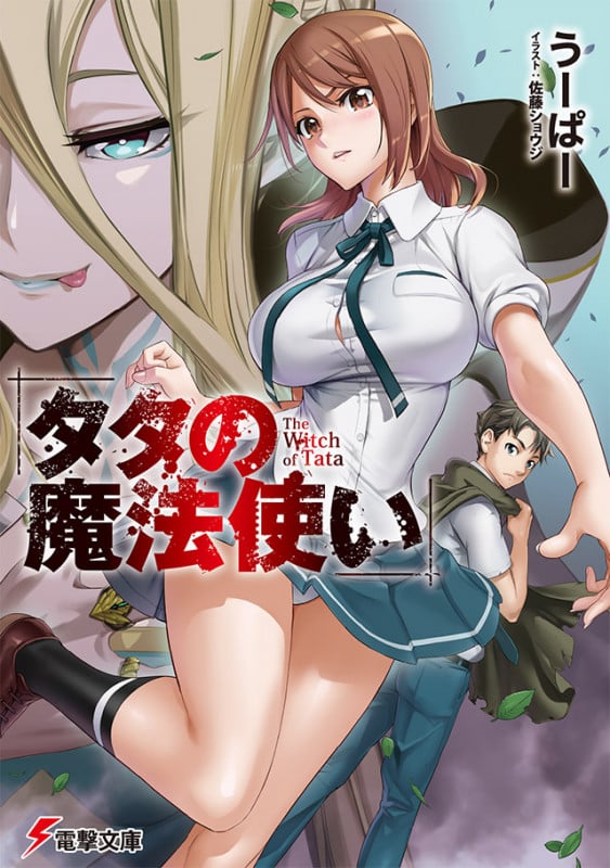 タタの魔法使い (1) (電撃文庫)