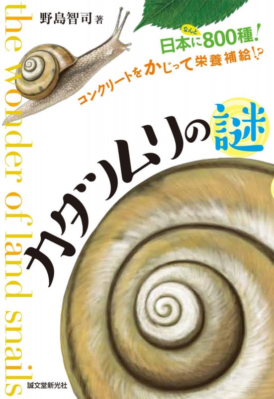 カタツムリの謎の詳細を見る