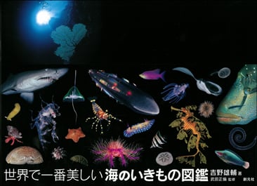 写真集 世界で一番美しい海のいきもの図鑑