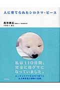 人に育てられたシロクマ・ピース