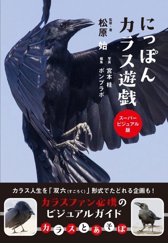 にっぽんカラス遊戯 スーパービジュアル版の詳細を見る