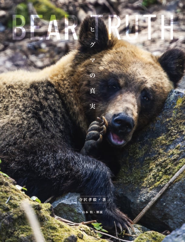 BEAR TRUTH ヒグマの真実