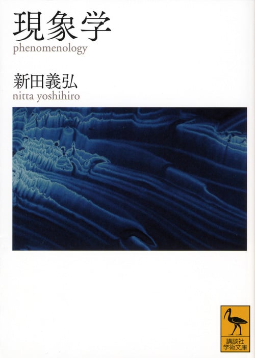 現象学 (講談社学術文庫)