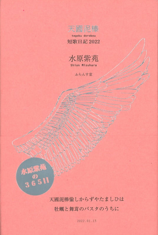 天國泥棒 短歌日記2022 (歌集)