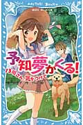 予知夢がくる! 13班さん、気をつけて