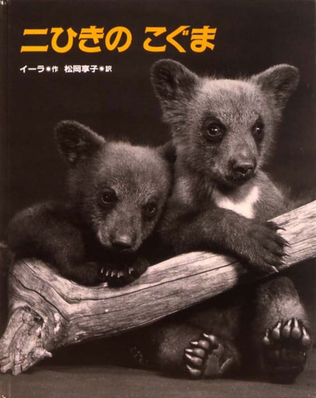 二ひきのこぐま