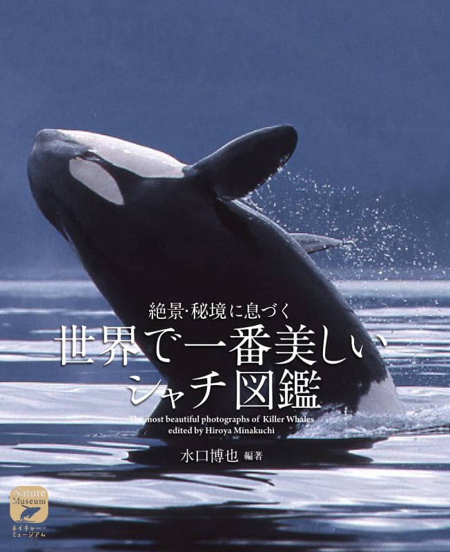 世界で一番美しいシャチ図鑑 絶景・秘境に息づく (ネイチャー・ミュージアム)