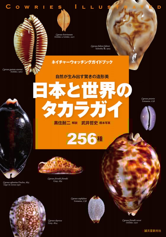 日本と世界のタカラガイ 自然が生み出す驚きの造形美 (ネイチャーウォッチングガイドブック)