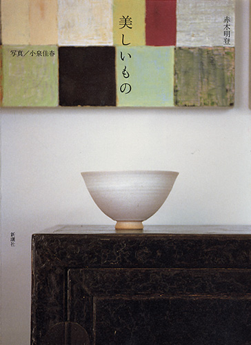 美しいものの詳細を見る