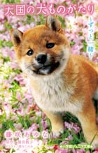天国の犬ものがたり~ずっと一緒~ (小学館ジュニア文庫)