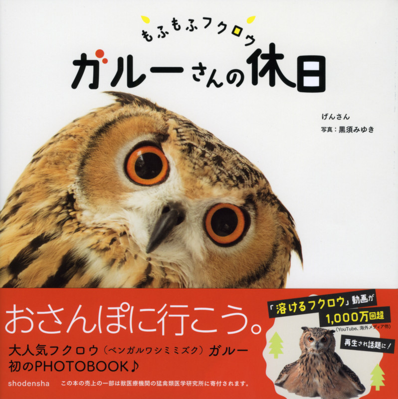 もふもふフクロウ ガルーさんの休日
