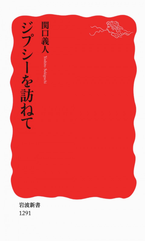 ジプシーを訪ねて (岩波新書 新赤版1291)