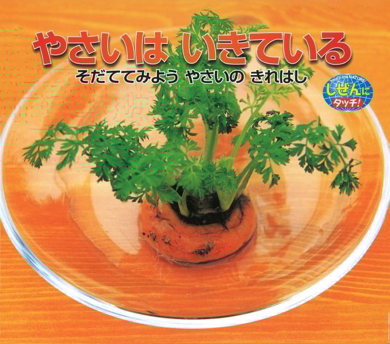やさいはいきている そだててみようやさいのきれはし (しぜんにタッチ!)
