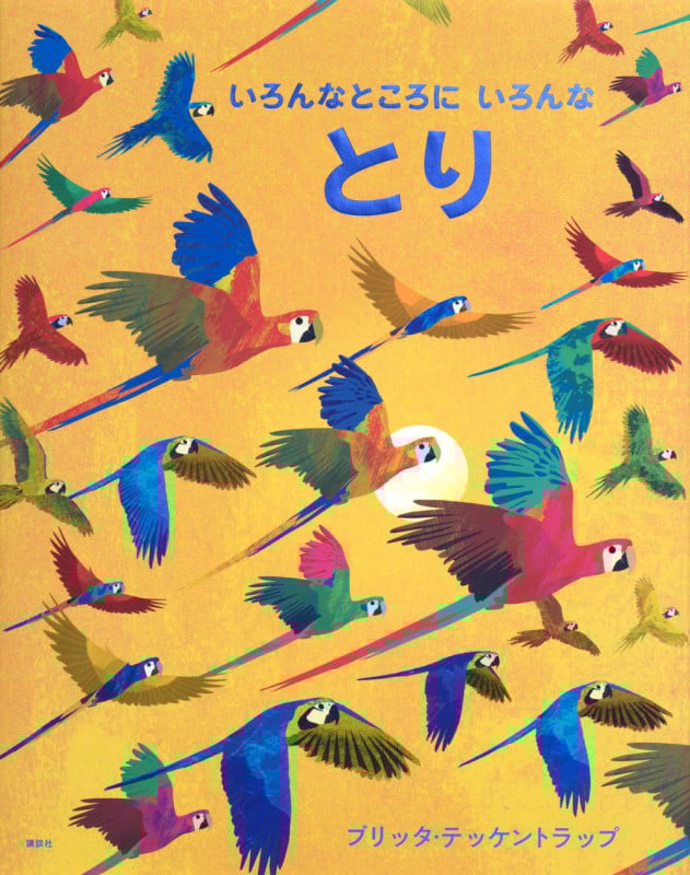 いろんなところに いろんな とり