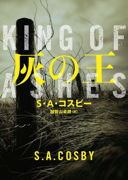 灰の王 (ハーパーBOOKS H250)