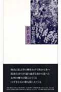新井豊美 おすすめランキング (12作品) - ブクログ