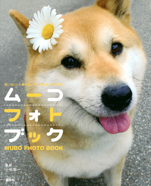 ムーコフォトブック 飼い主にしか撮れない大人気看板犬の写真集の詳細を見る