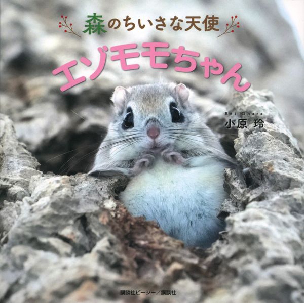 森のちいさな天使 エゾモモちゃん