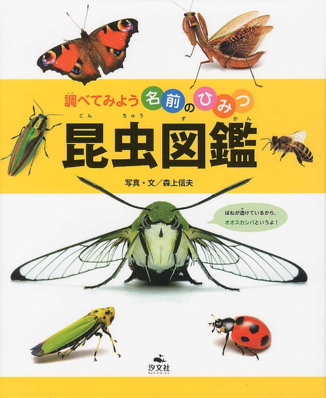 昆虫図鑑 (調べてみよう 名前のひみつ)