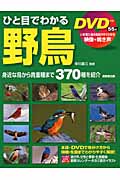 ひと目でわかる野鳥 DVD付きの詳細を見る