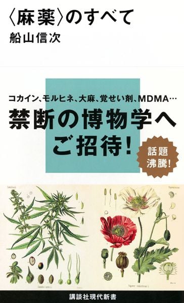 〈麻薬〉のすべて (講談社現代新書)