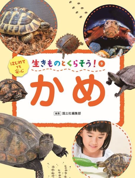 かめ (生きものとくらそう! 9)