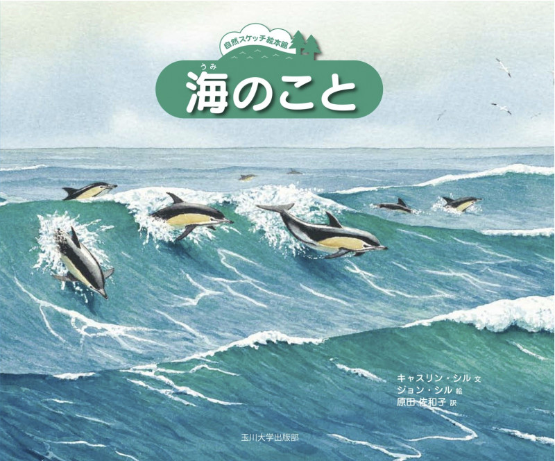 海のこと (自然スケッチ絵本館)