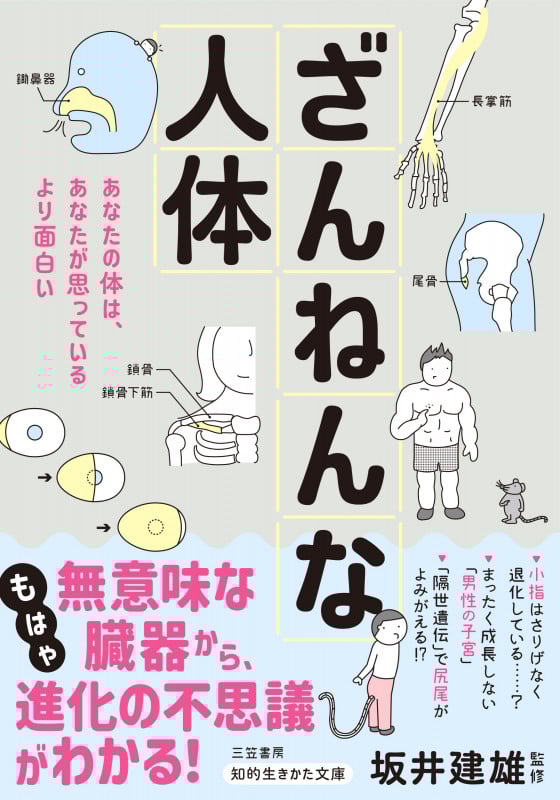 ざんねんな人体 もはや“無意味な臓器”から、進化の不思議がわかる! (知的生きかた文庫)