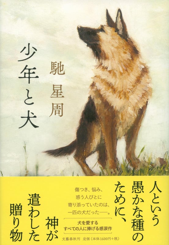 少年と犬