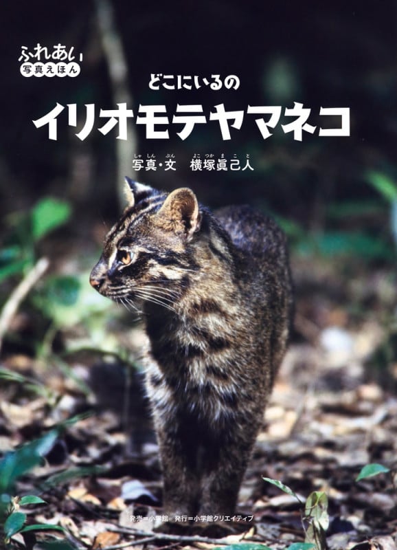 どこにいるのイリオモテヤマネコ (ふれあい写真えほん)